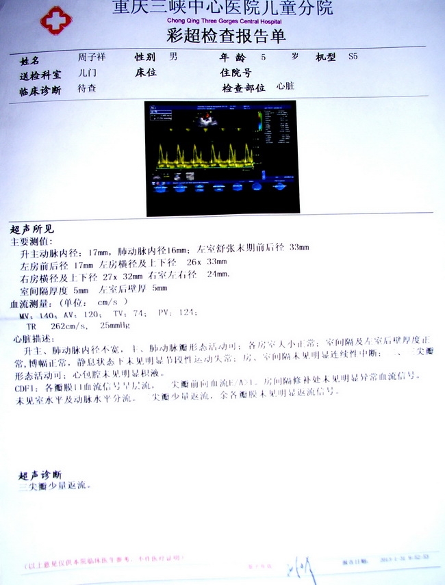 긴鱨